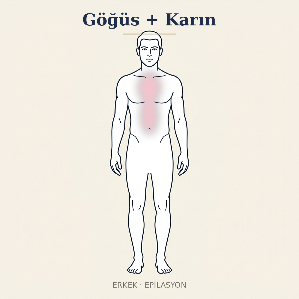 Göğüs + Karın Epilasyon