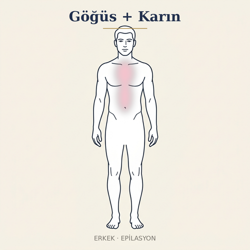 Göğüs + Karın Epilasyon