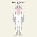 Sırt + Omuz Epilasyon