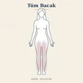 Tüm Bacak Epilasyon