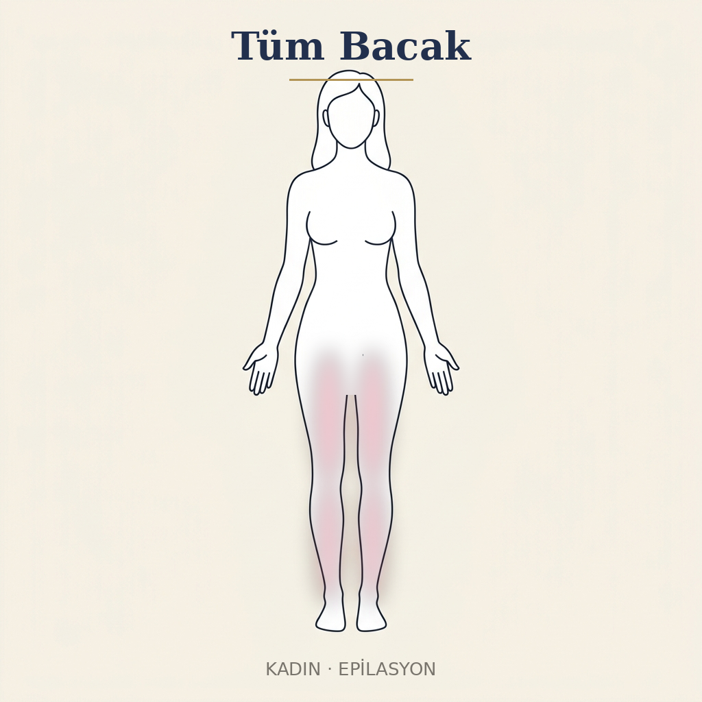 Tüm Bacak Epilasyon