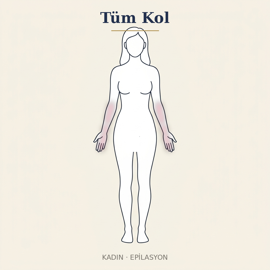 Tüm Kol Epilasyon