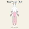 Tüm Vücut + Kol Epilasyon
