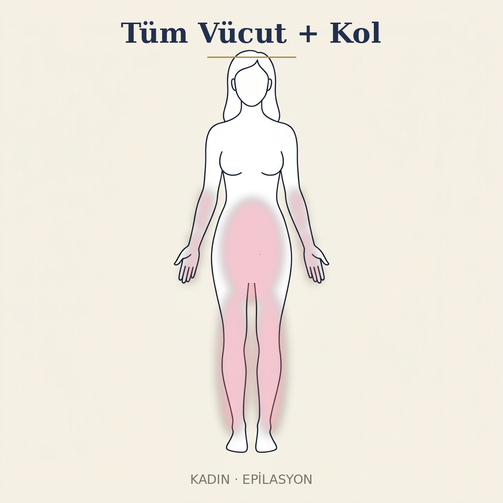 Tüm Vücut + Kol Epilasyon