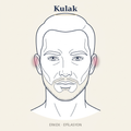 Kulak Epilasyon — Erkek
