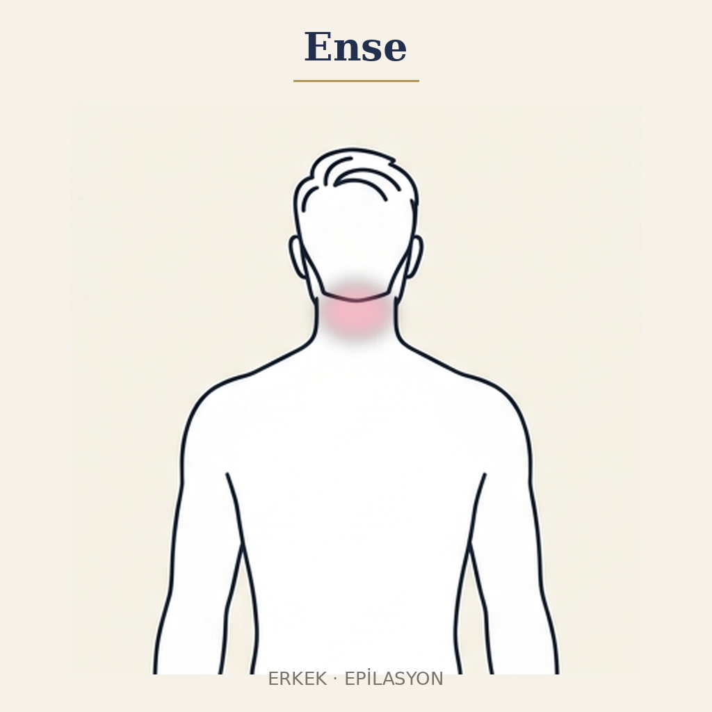 Ense Epilasyon — Erkek