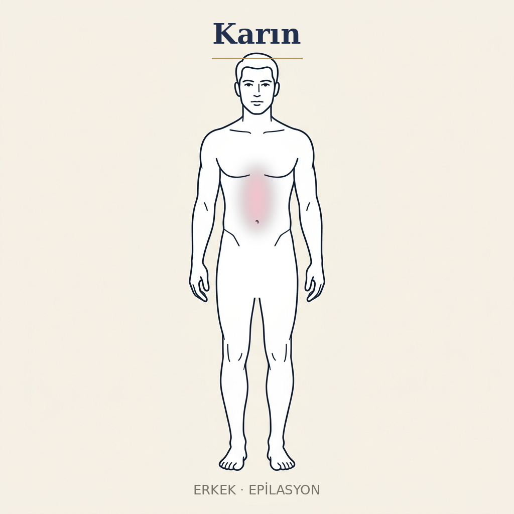 Karın Epilasyon — Erkek