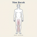 Tüm Bacak Epilasyon — Erkek