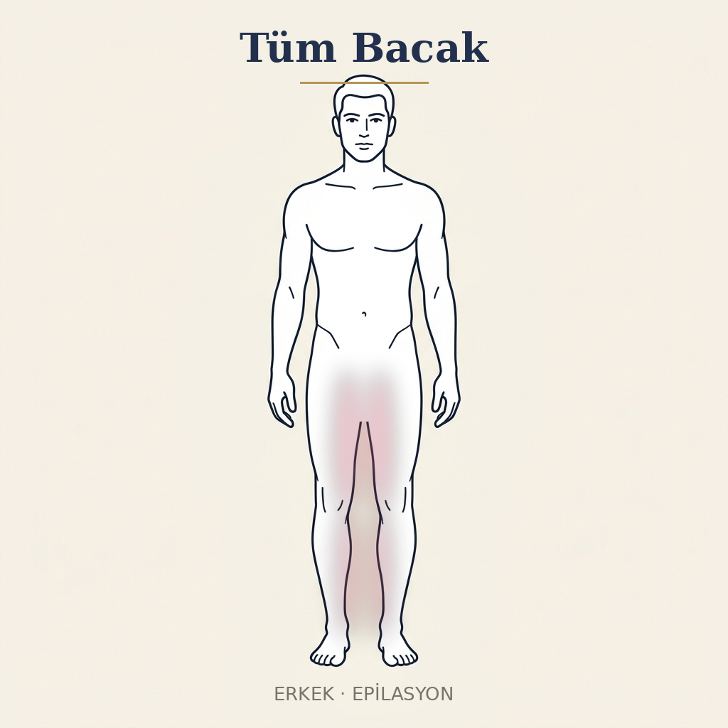 Tüm Bacak Epilasyon — Erkek