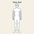 Tüm Kol Epilasyon — Erkek