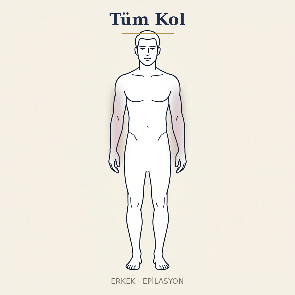 Tüm Kol Epilasyon — Erkek