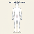 Kuyruk Sokumu Epilasyon — Erkek