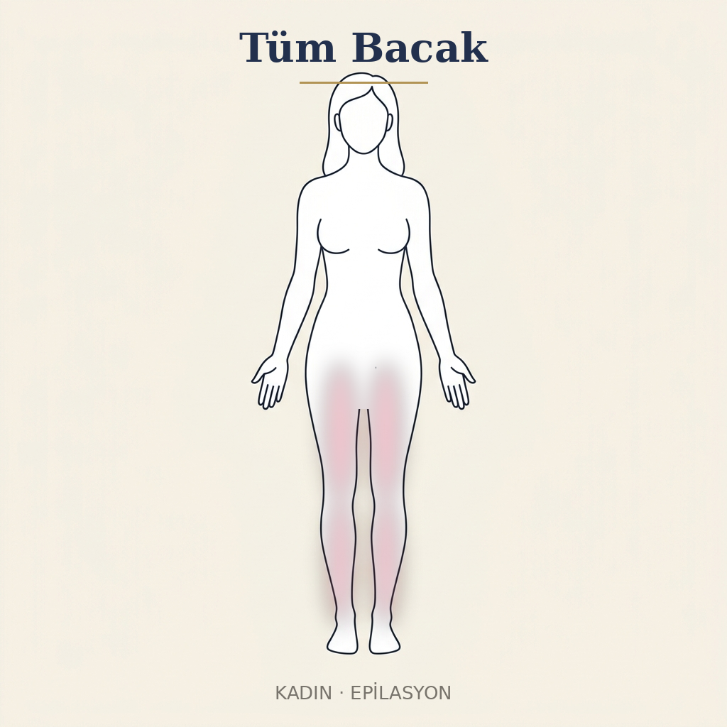 Tüm Bacak Epilasyon — Kadın