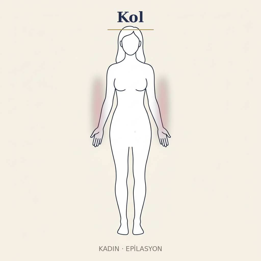 Kol Epilasyon — Kadın