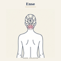Ense Epilasyon — Kadın